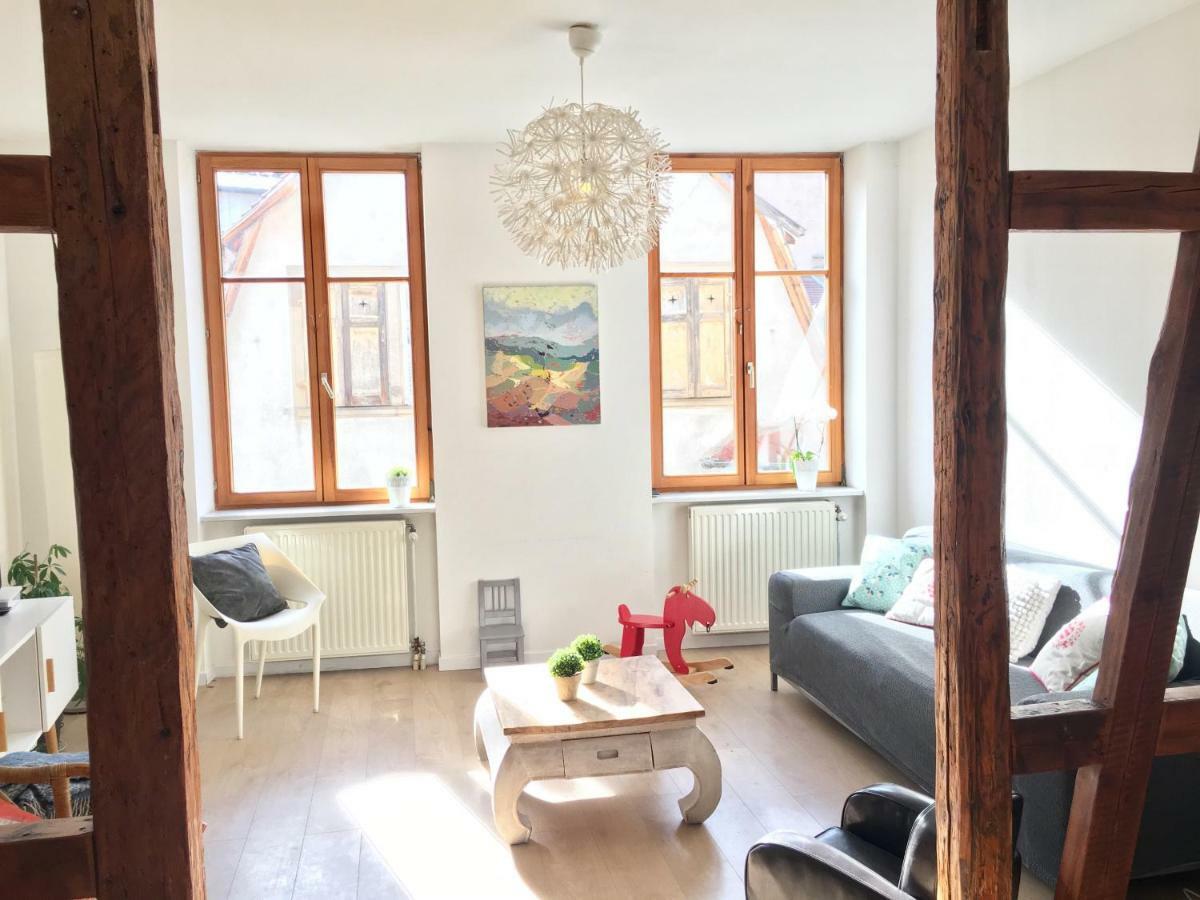 Gite Atelier De Hansi - Colmar Centre Luaran gambar